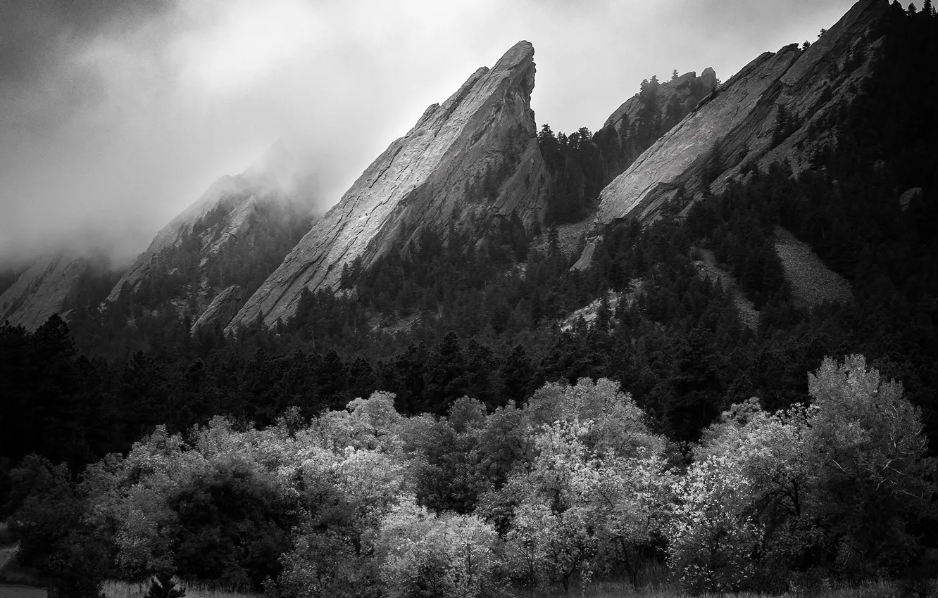 Photo wallpaper the sky, trees, mountains, nature, rocks, black and white, monochrome