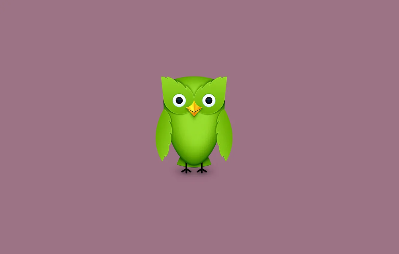 Photo wallpaper owl, bird, minimalism, green, owl