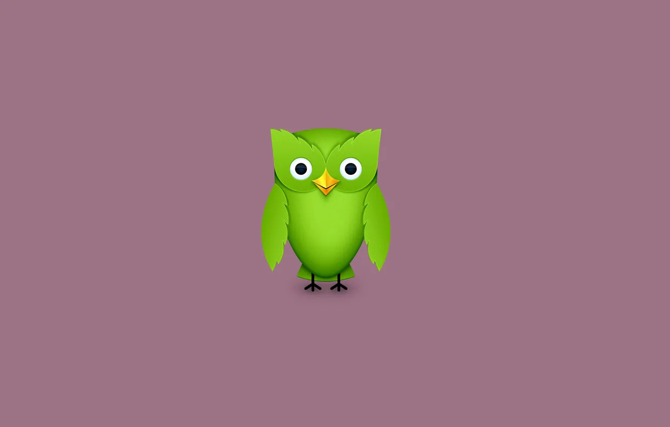 Photo wallpaper green, owl, bird, minimalism, owl