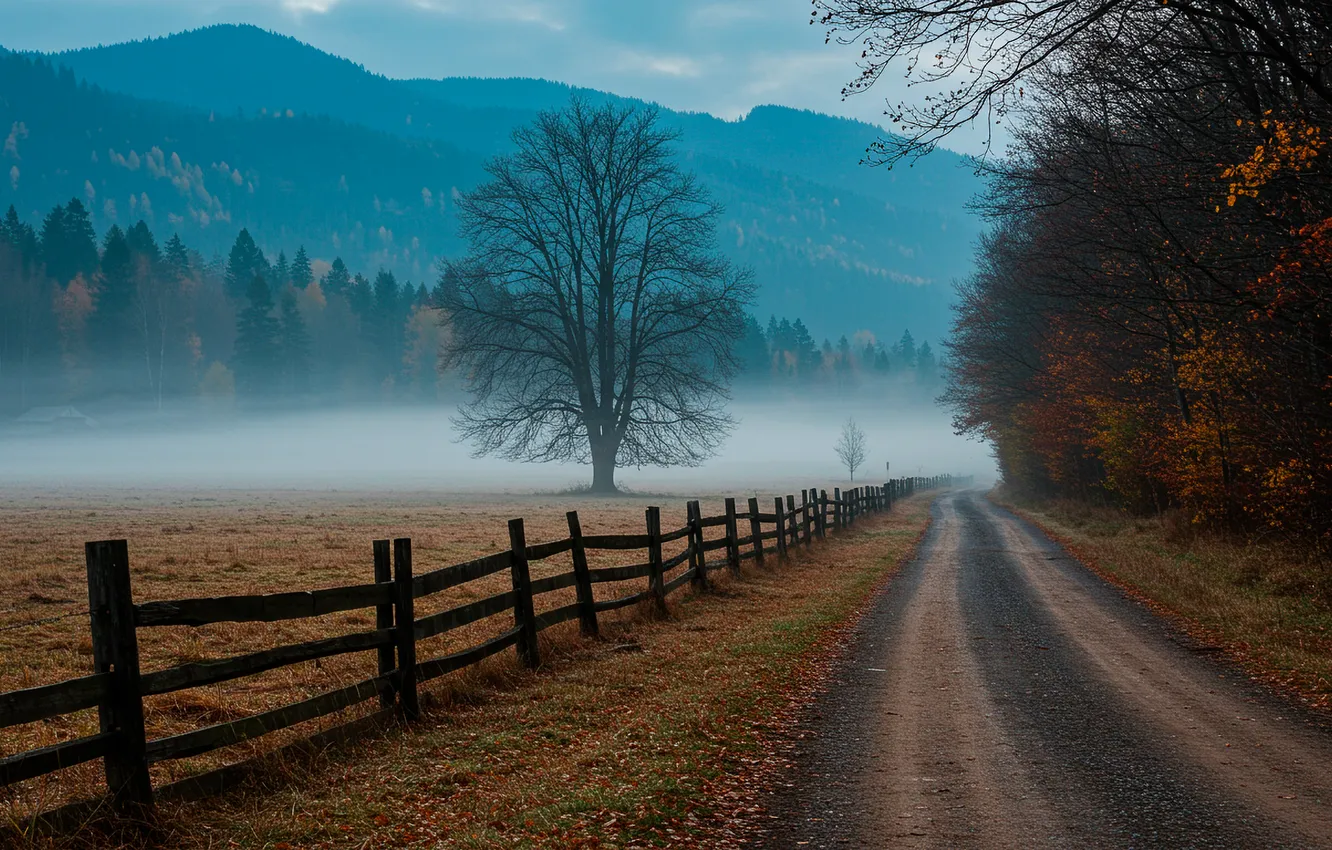 Photo wallpaper road, field, autumn, forest, fog, fence