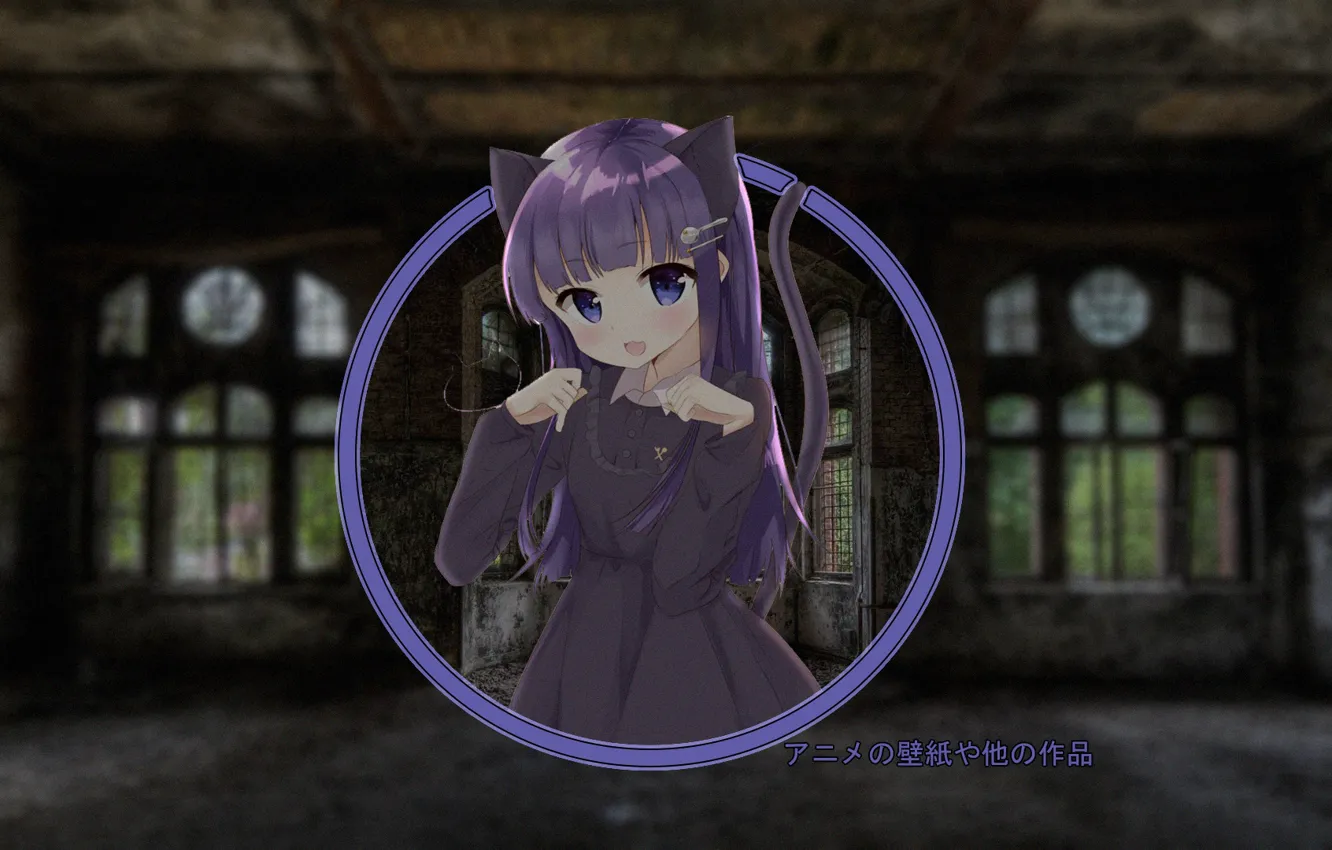 Photo wallpaper girl, anime, neko, abandoned house, nothing, madskillz