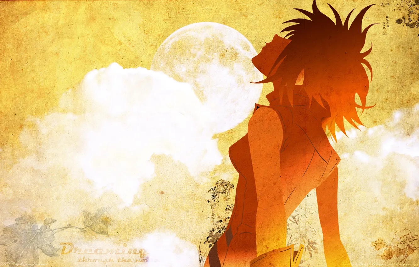 Photo wallpaper girl, the moon, styling, anime