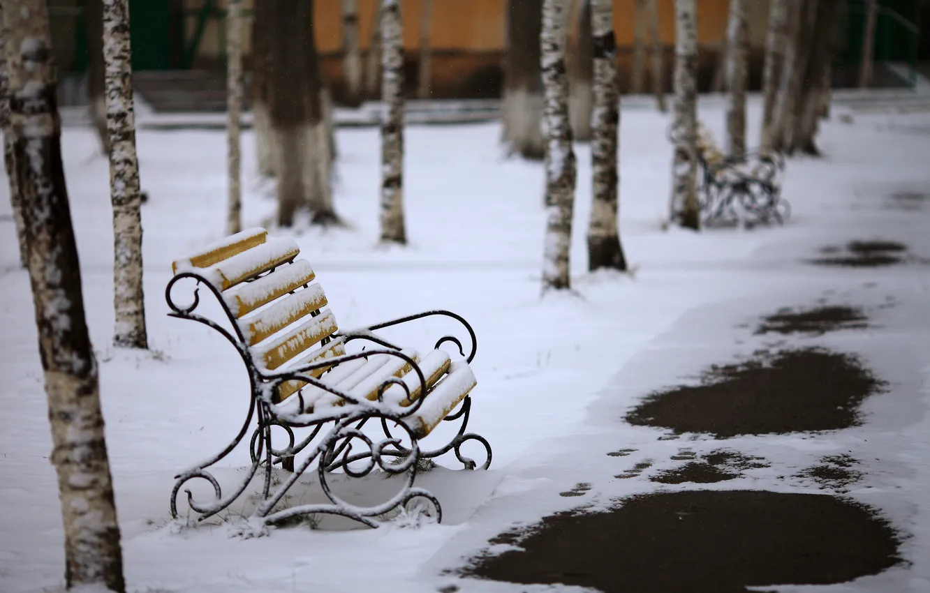 Photo wallpaper winter, the city, Park, bench
