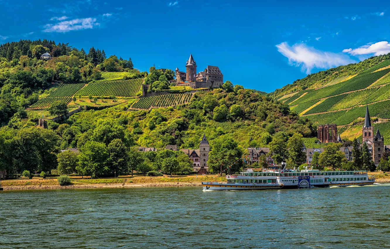 Photo wallpaper greens, field, forest, the sky, the sun, clouds, trees, mountains