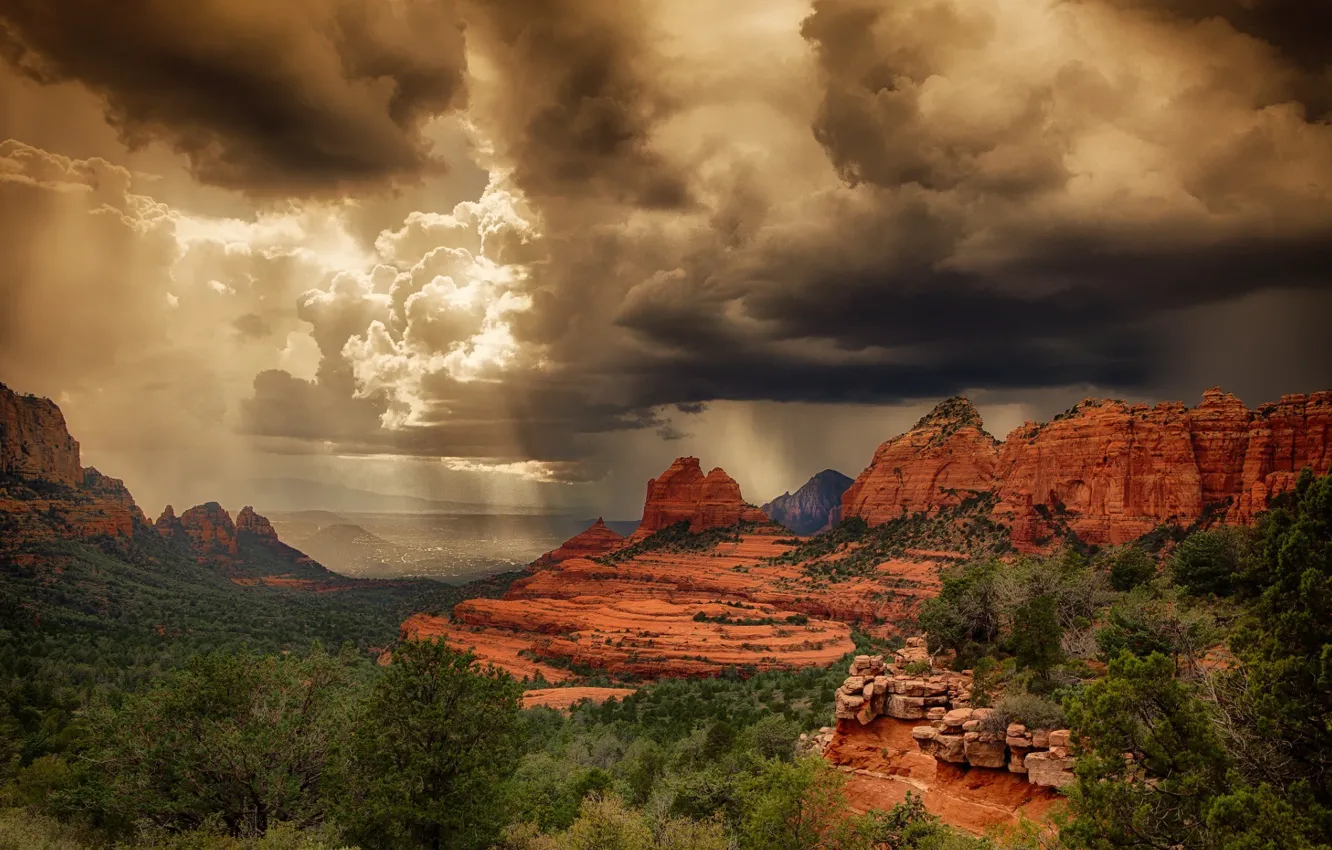 Photo wallpaper the sky, clouds, light, rain, plant, canyon, breed