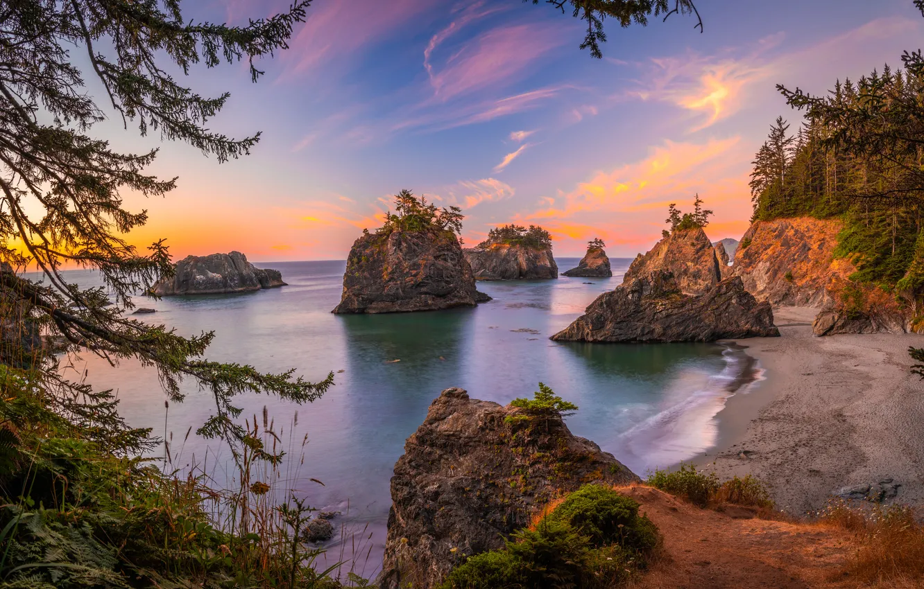 Photo wallpaper sand, sea, beach, the sky, clouds, sunset, branches, blue