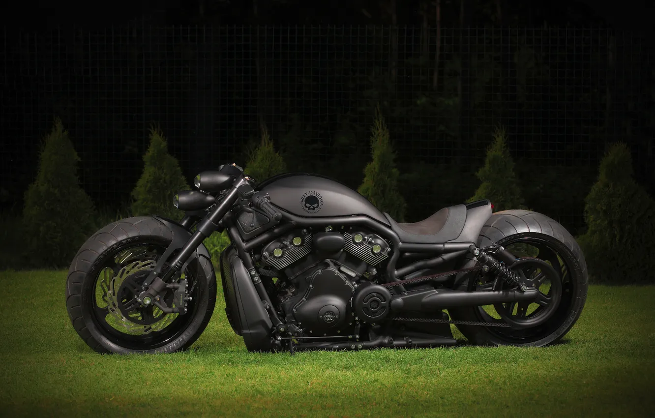 Photo wallpaper motorcycle, Harley Davidson, bike