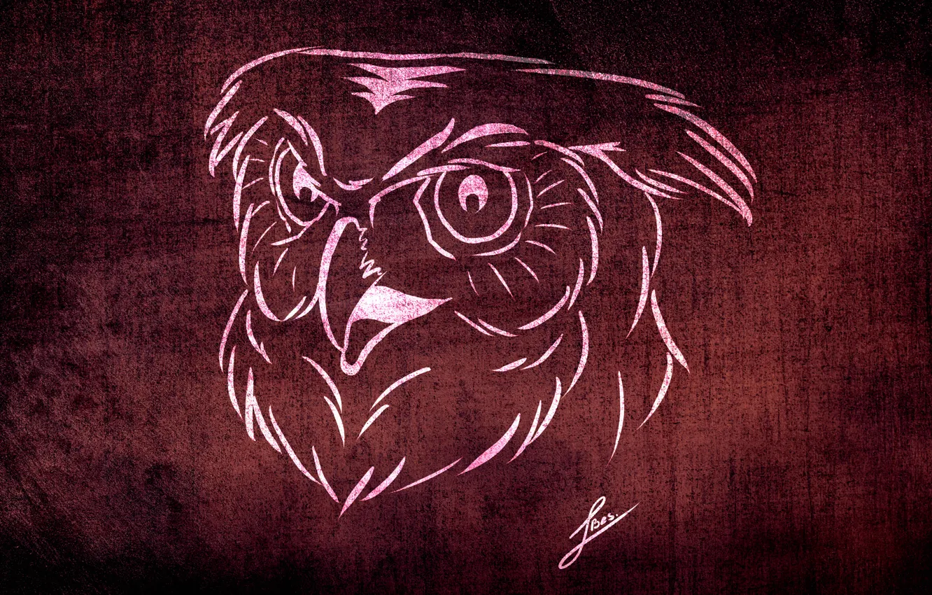 Photo wallpaper background, animal, owl, Wallpaper, figure, texture, styling, collection