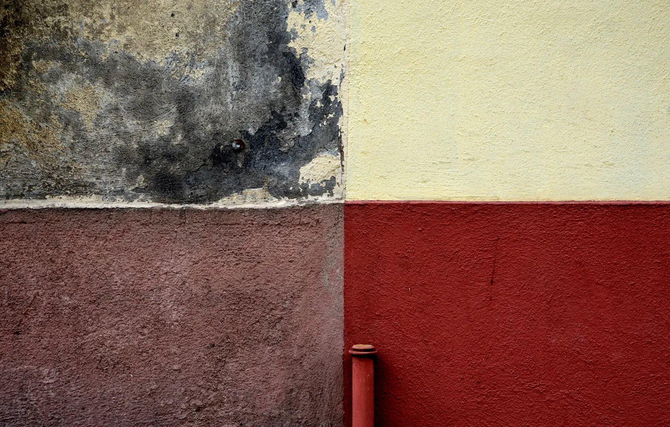 Photo wallpaper wall, color, texture