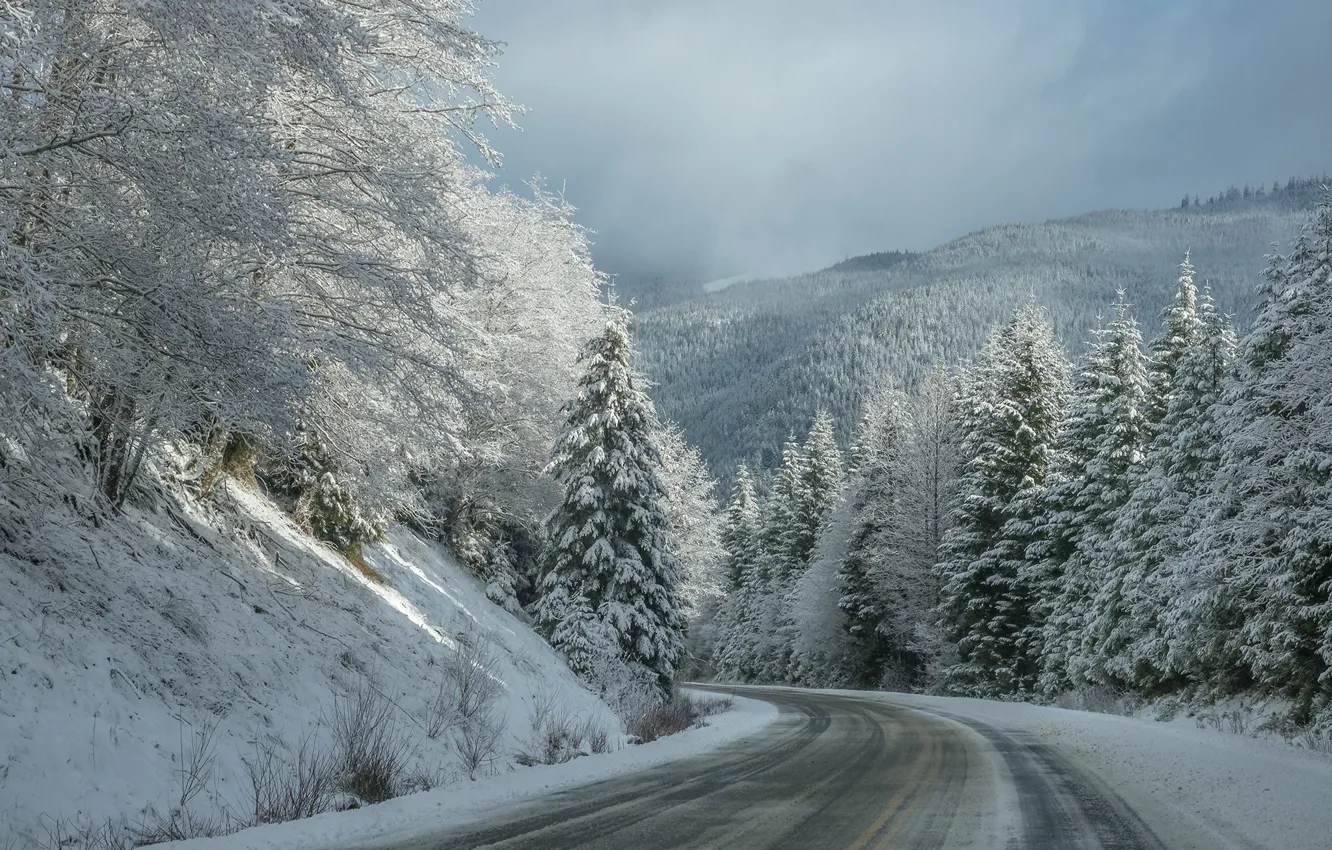 Photo wallpaper winter, road, snow, trees, track