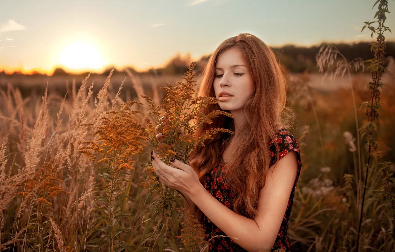 Photo wallpaper grass, girl, the sun, dawn, dress, red, is, in the field