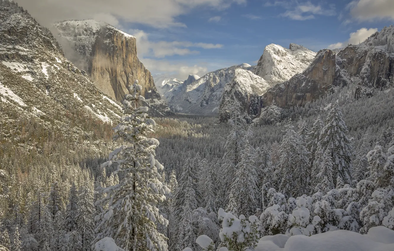 Photo wallpaper winter, forest, snow, mountains, valley, CA, Yosemite, California