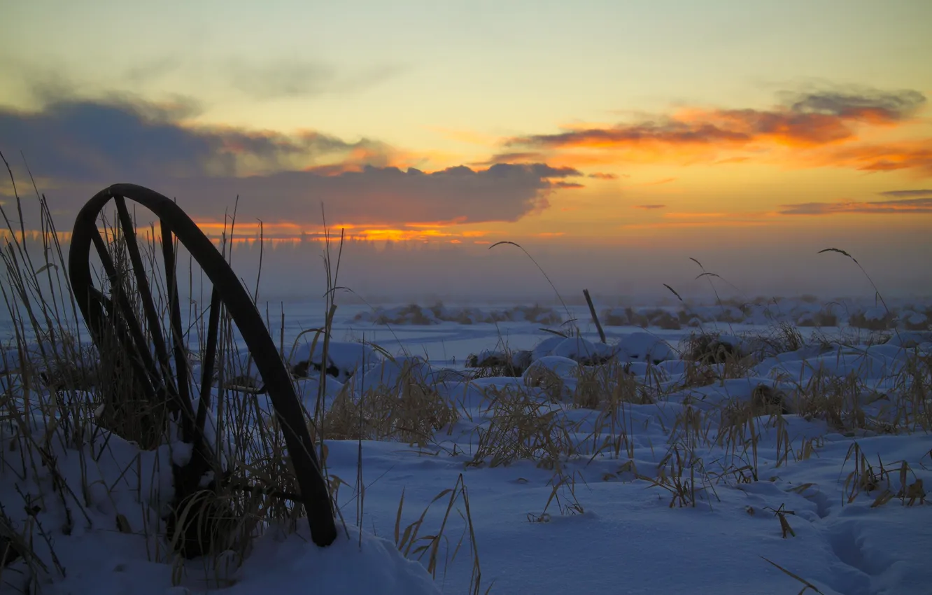 Photo wallpaper winter, field, grass, sunset