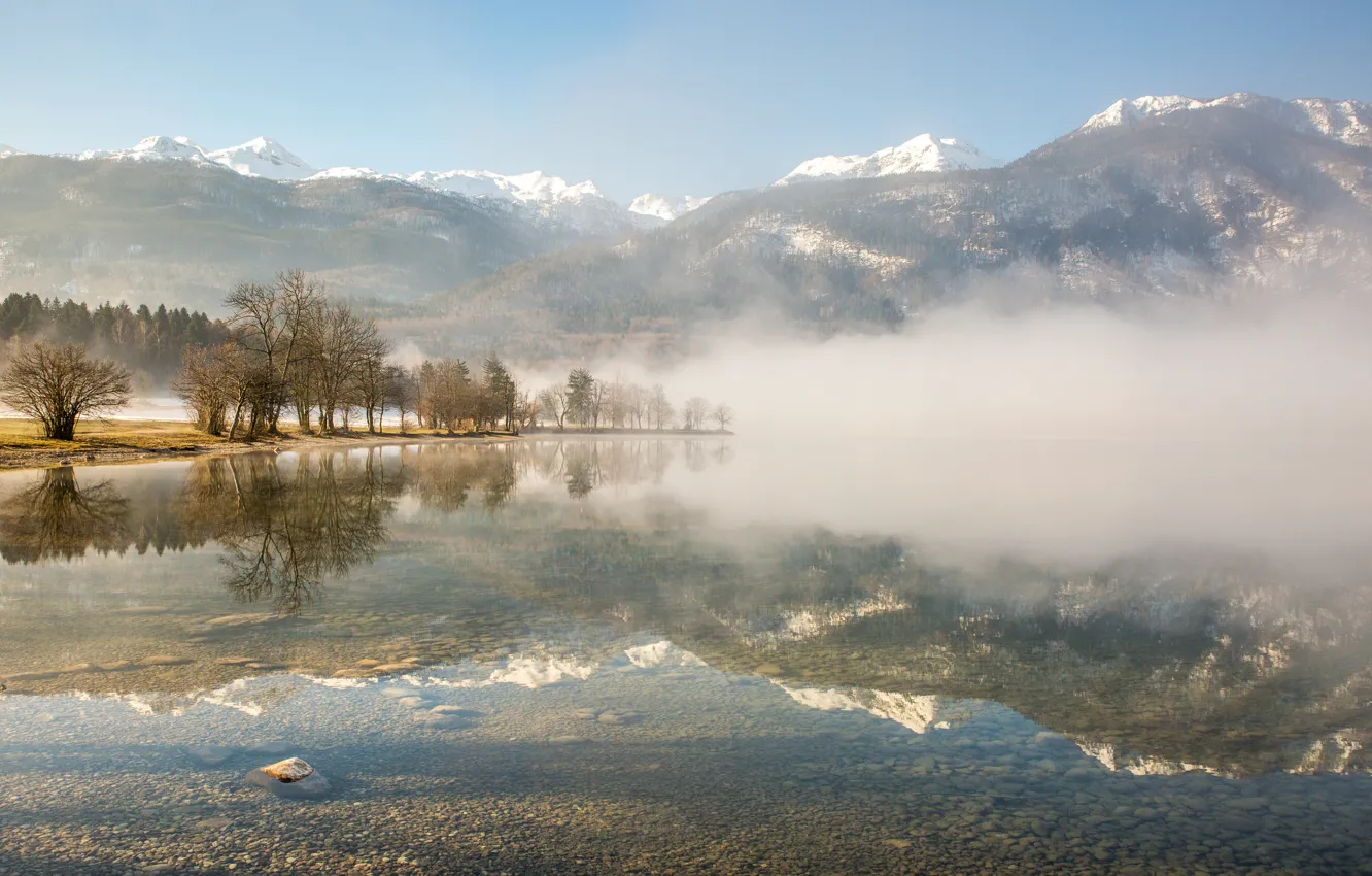 Photo wallpaper fog, morning, Slovenia, Bohinj