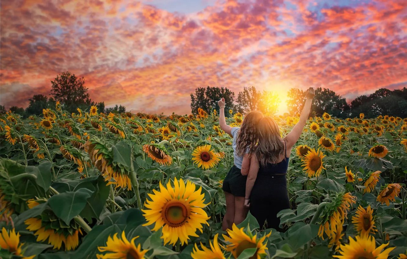 Photo wallpaper field, summer, leaves, girl, the sun, clouds, rays, light
