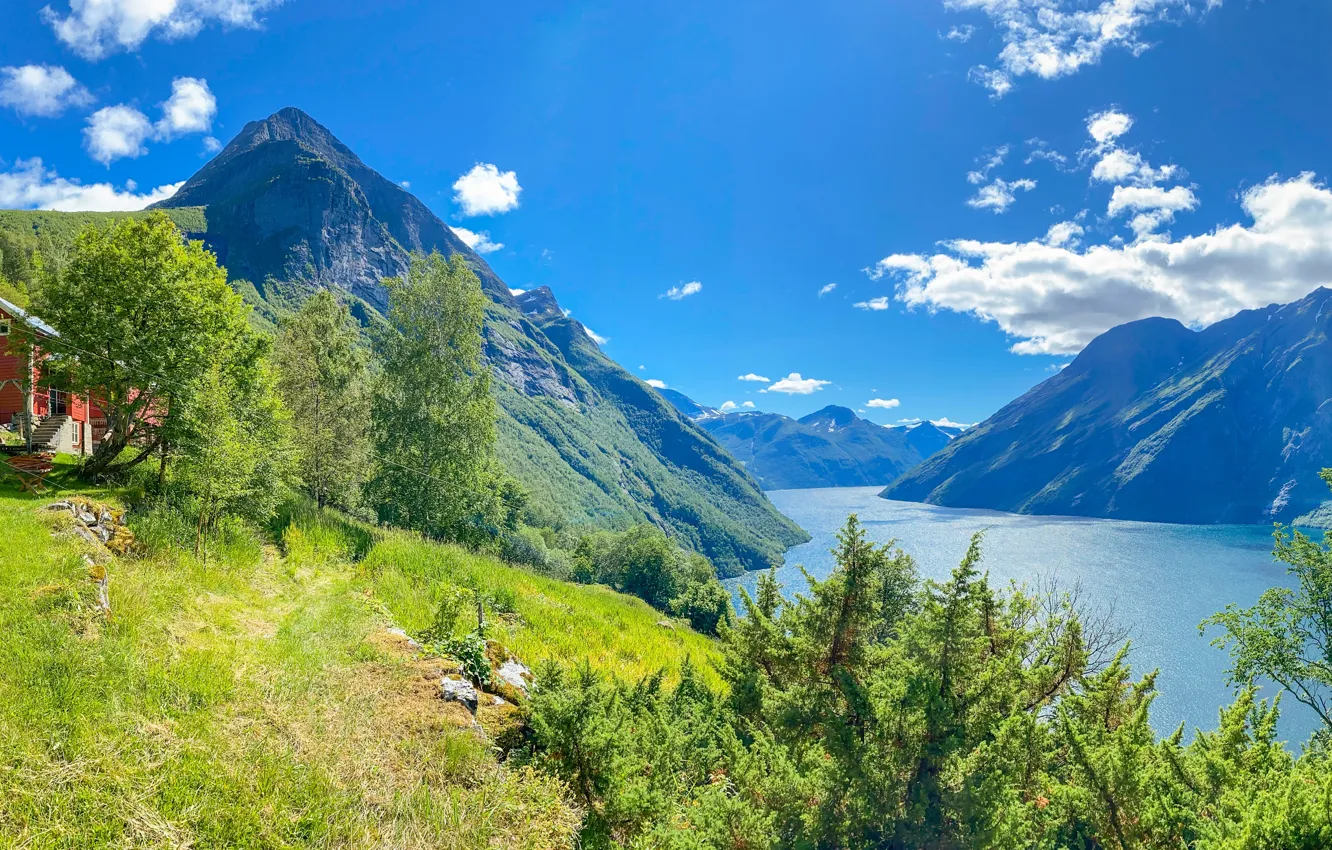 Photo wallpaper trees, mountains, home, the barn, Norway, panorama, Norway, the fjord