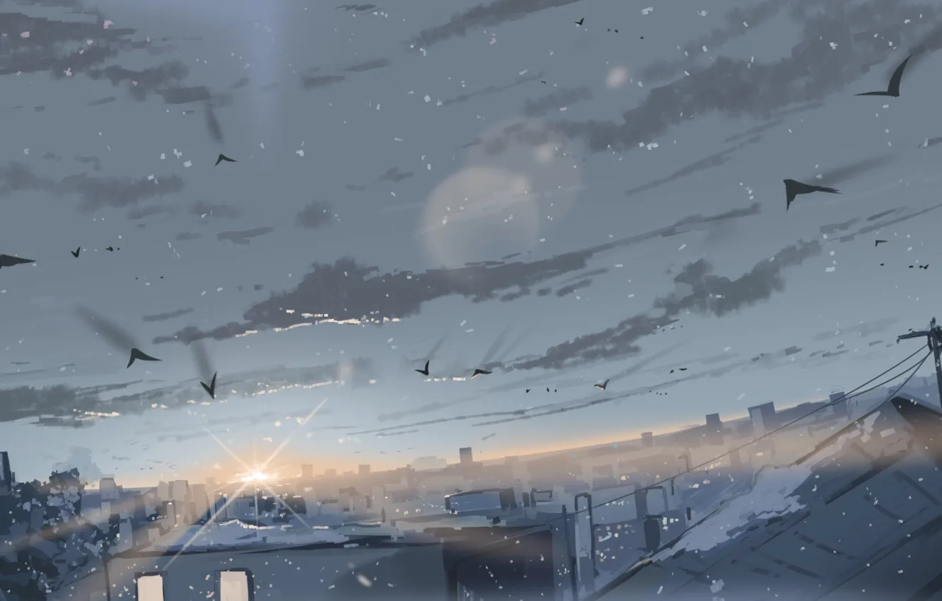 Photo wallpaper winter, the sky, snow, birds, the city