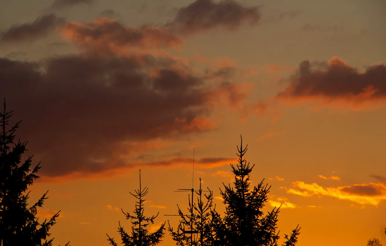 Photo wallpaper the sky, clouds, trees, sunset, antenna