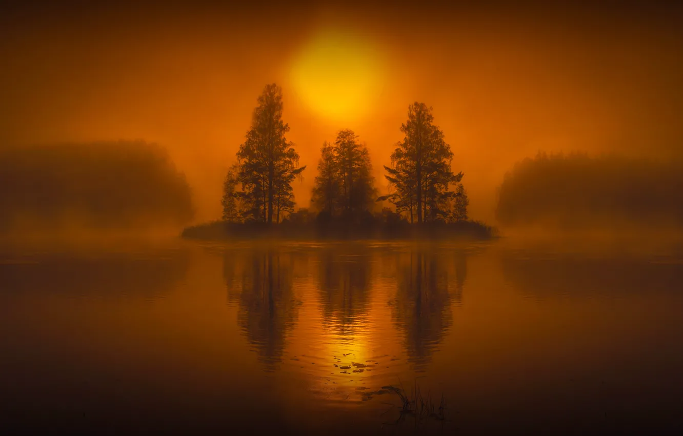 Photo wallpaper trees, fog, lake, mystic, island