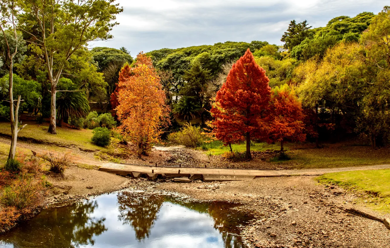 Photo wallpaper Nature, Bridge, Autumn, Trees, River, Park, Uruguay, Minas