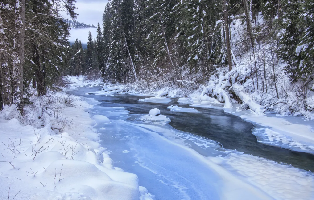 Photo wallpaper winter, river, stream