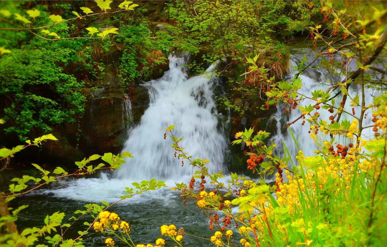 Photo wallpaper Nature, Spring, Waterfall, Nature, Spring, Flowering, Waterfall, Flowering