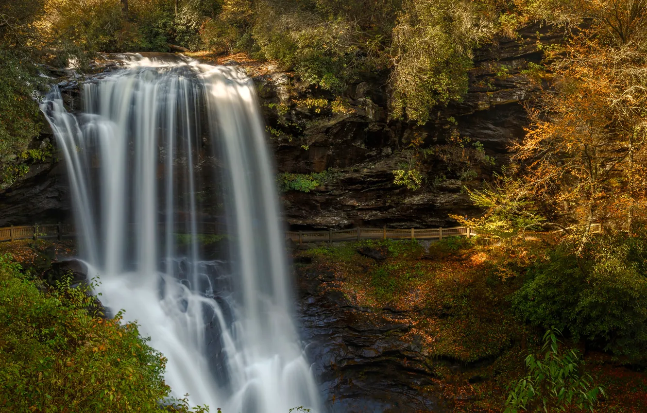 Photo wallpaper forest, the sun, trees, rock, waterfall, USA, Highlands, North Carolina