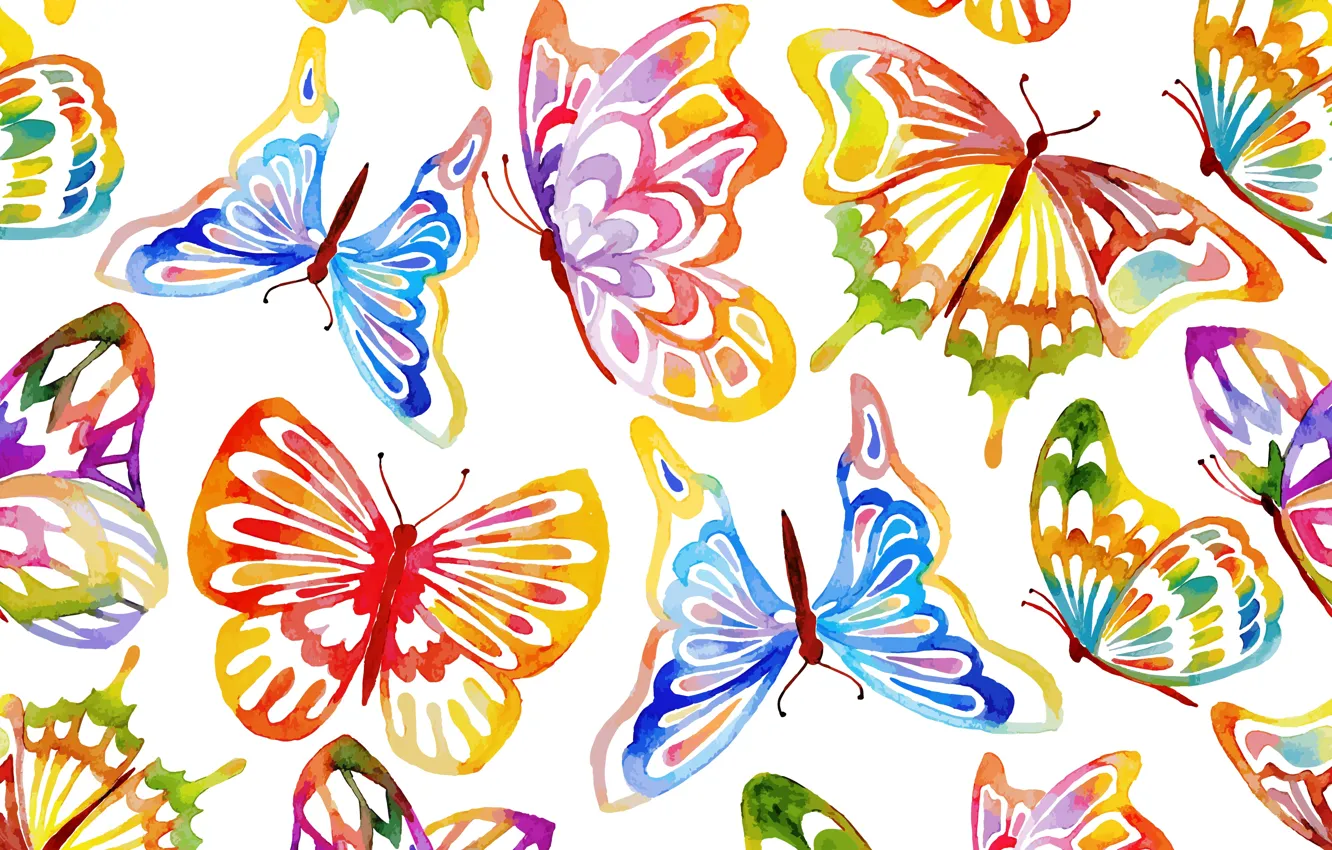 Photo wallpaper Butterfly, Background, Texture