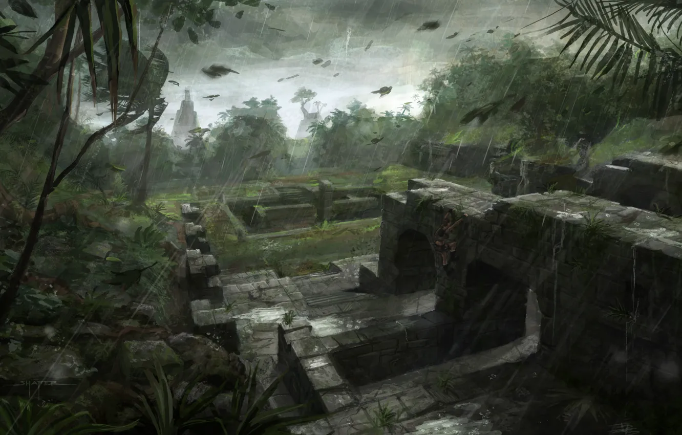Photo wallpaper the game, Tomb Raider, Lara