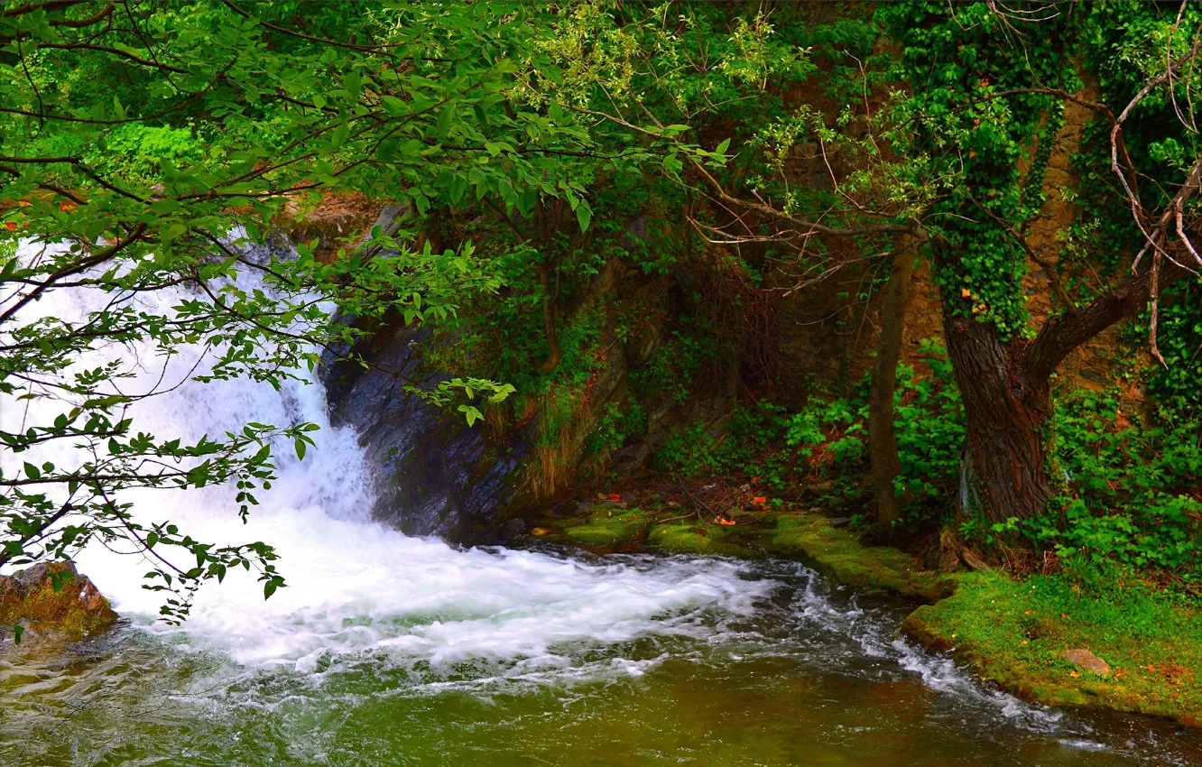 Photo wallpaper Stream, Spring, Waterfall, Spring, Waterfall, Flow