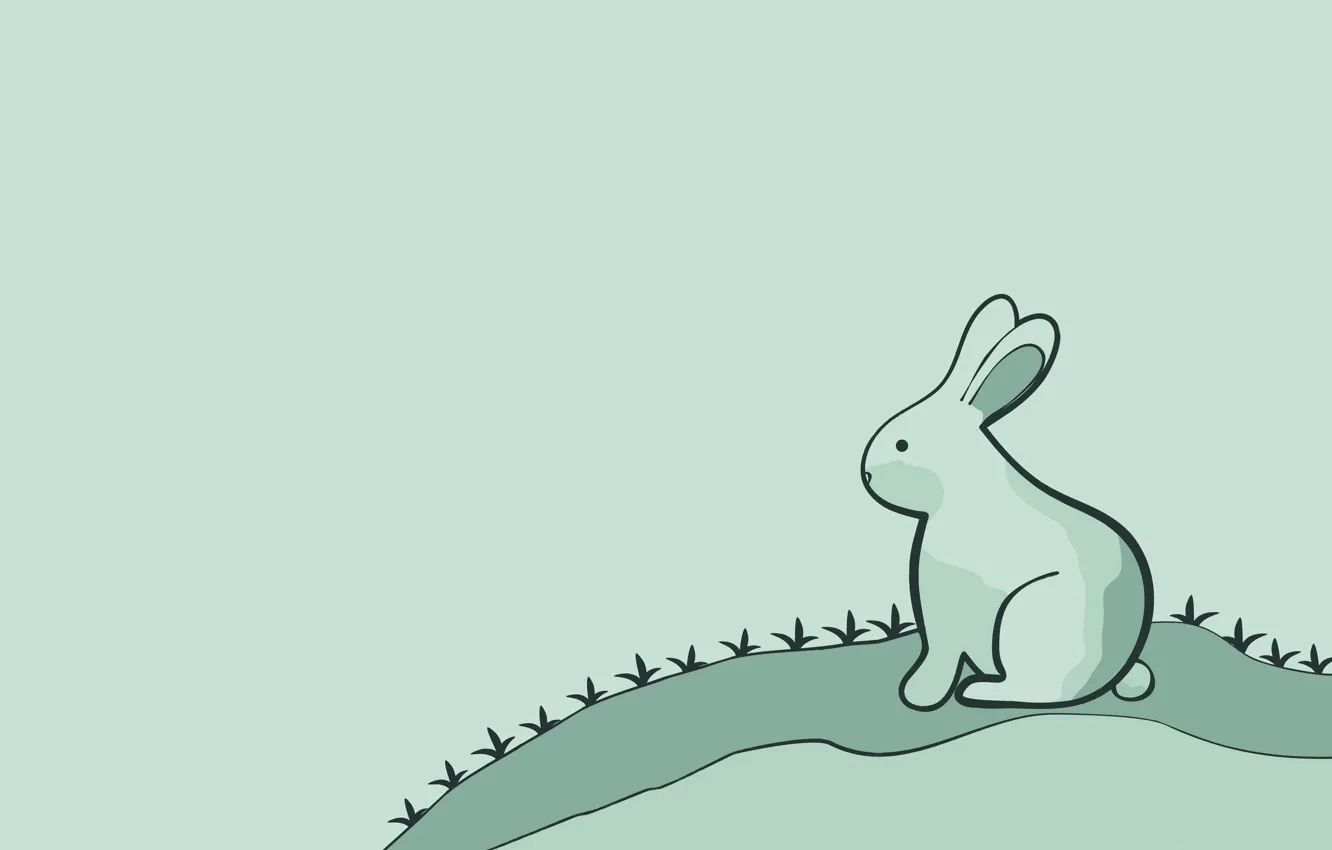 Photo wallpaper hare, minimalism, rabbit, rabbit