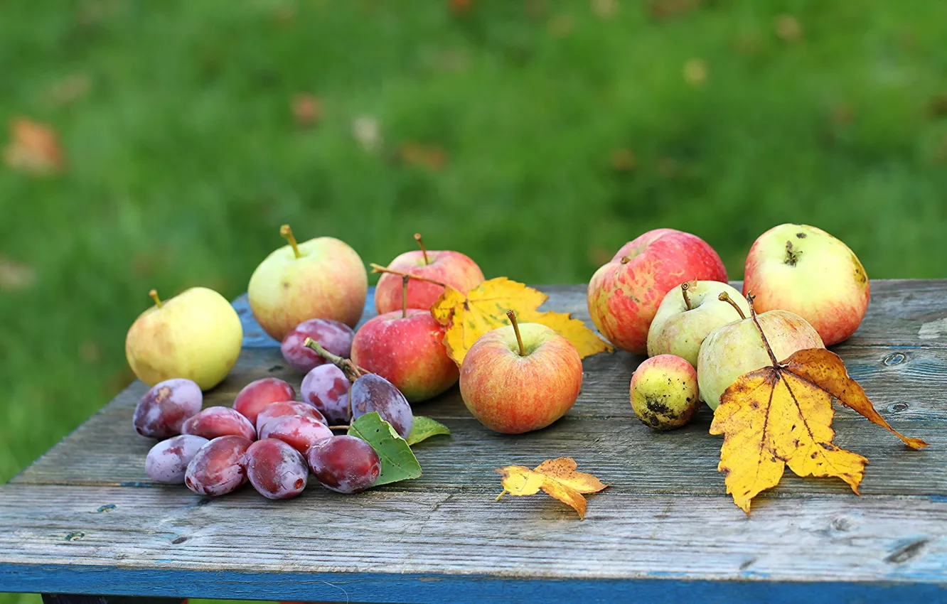 Photo wallpaper apple, autumn, fruit, garden, Apple, Garden, Plums, autumn