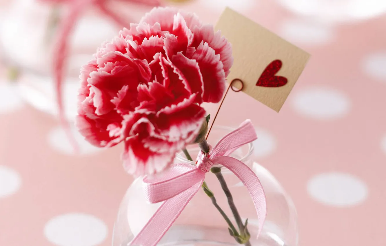 Photo wallpaper flower, heart, carnation, congratulations, braid