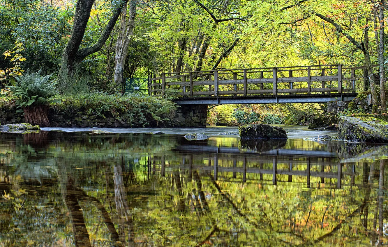 Photo wallpaper greens, water, trees, bridge, reflection, river, stones, moss