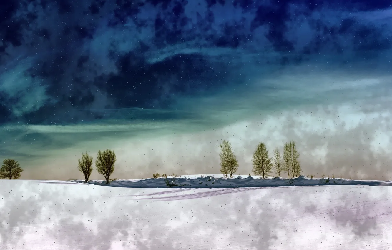 Photo wallpaper winter, clouds, snow, trees
