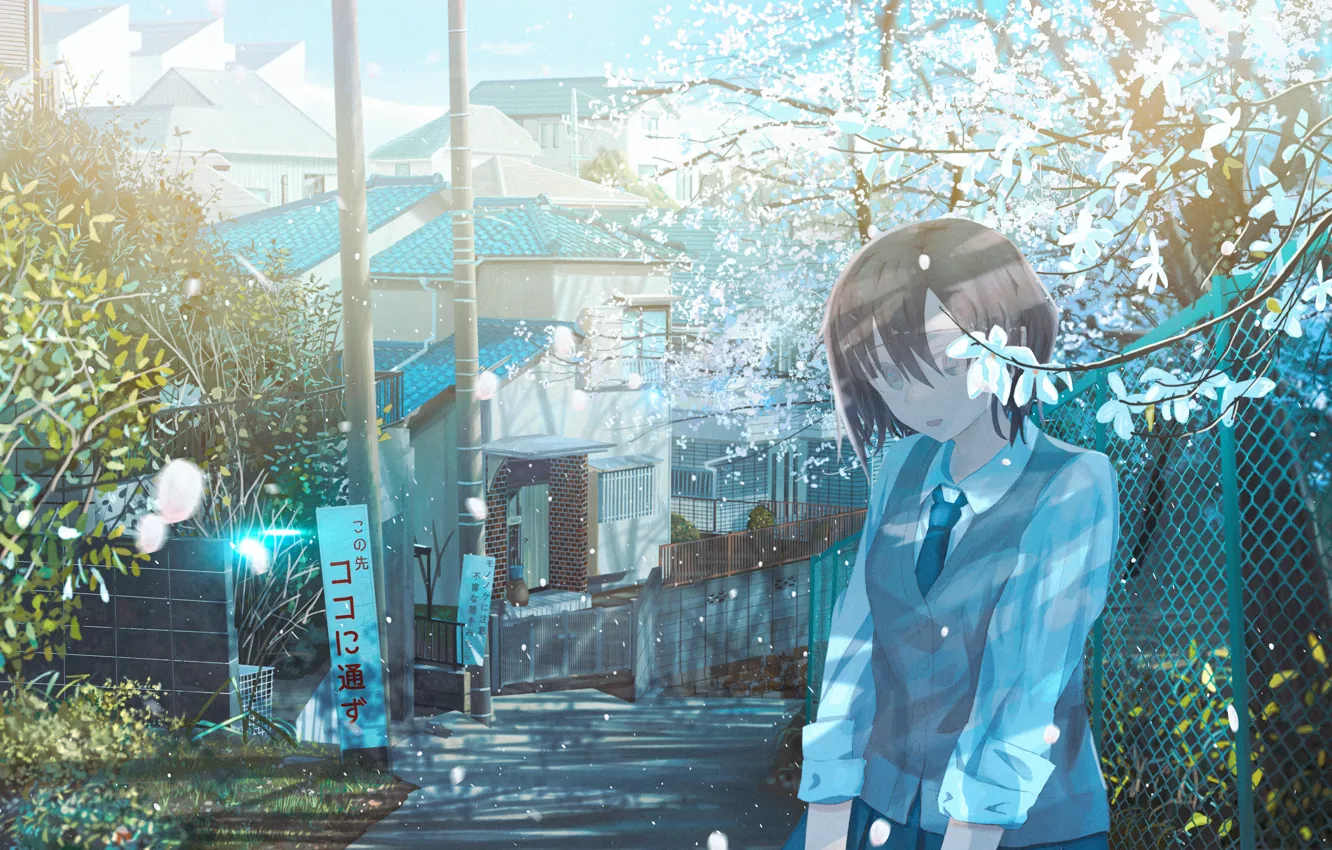 Photo wallpaper girl, the fence, home, flowering, by banishment