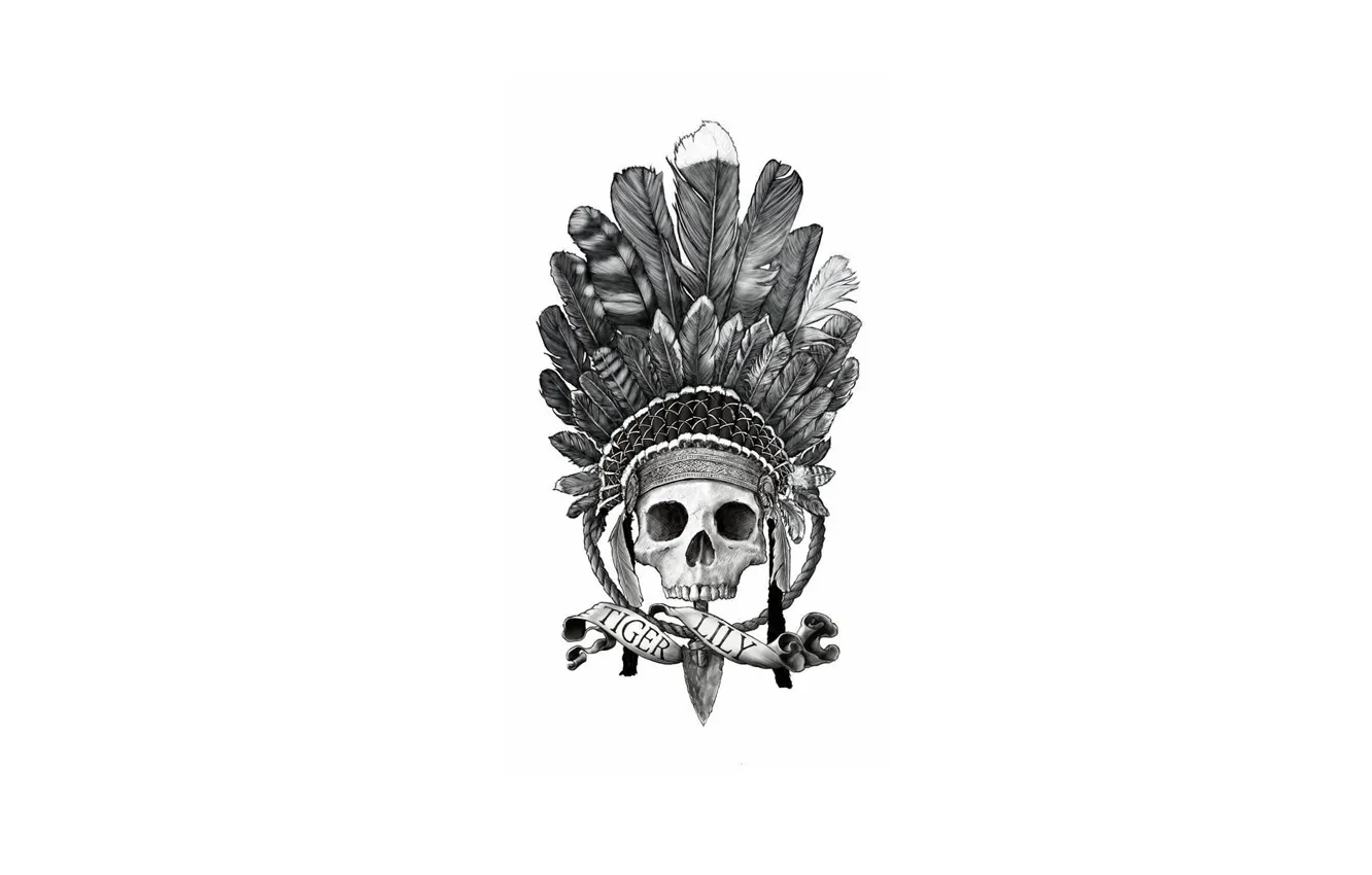 Photo wallpaper skull, feathers, headdress