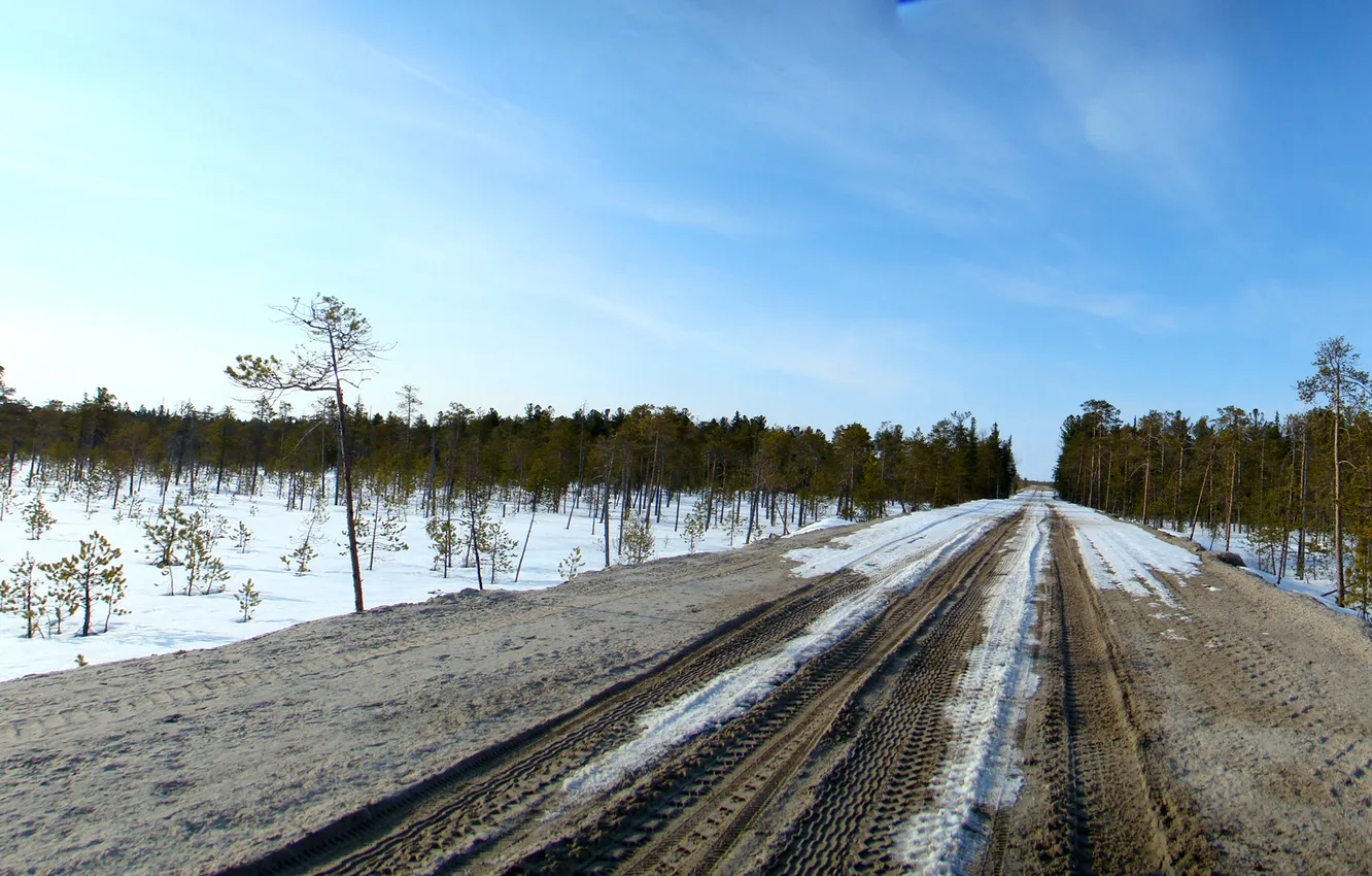 Photo wallpaper road, forest, snow, mound