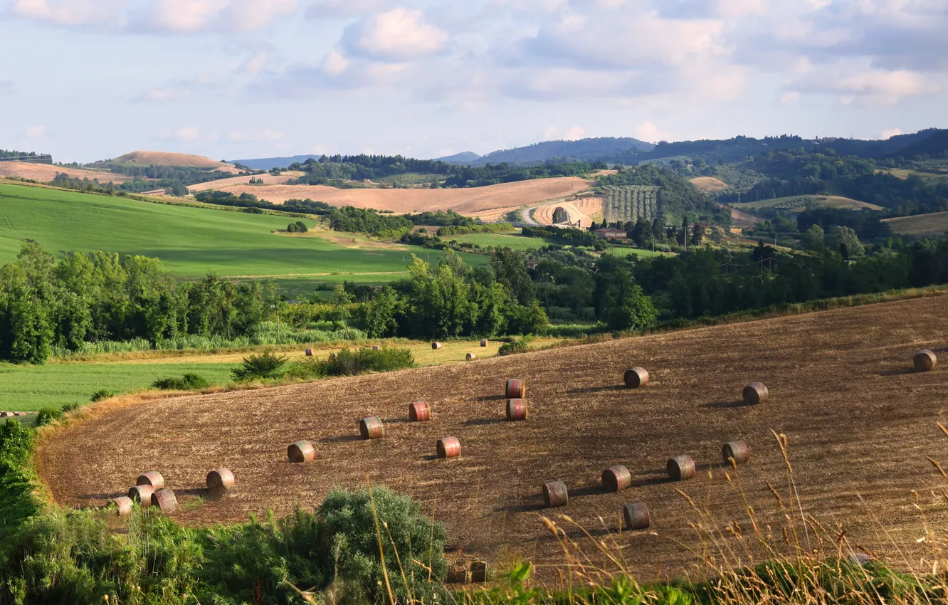 Photo wallpaper field, dal, hay, bales, straw, Kip