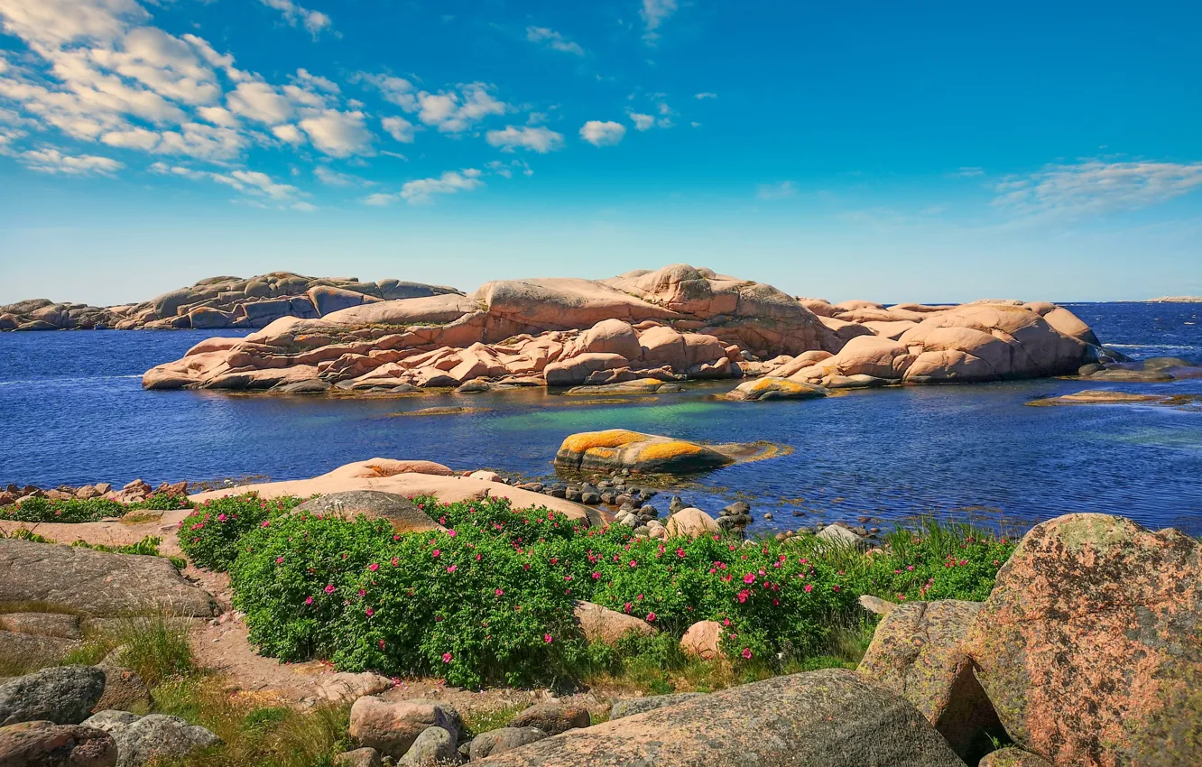 Photo wallpaper sea, summer, the sky, clouds, blue, shore, day