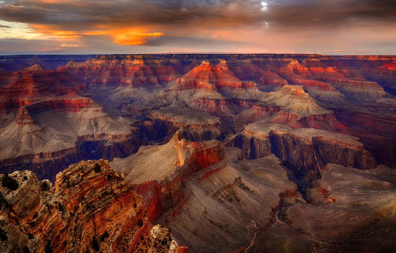 Photo wallpaper panorama, AZ, USA, National Park Grand Canyon