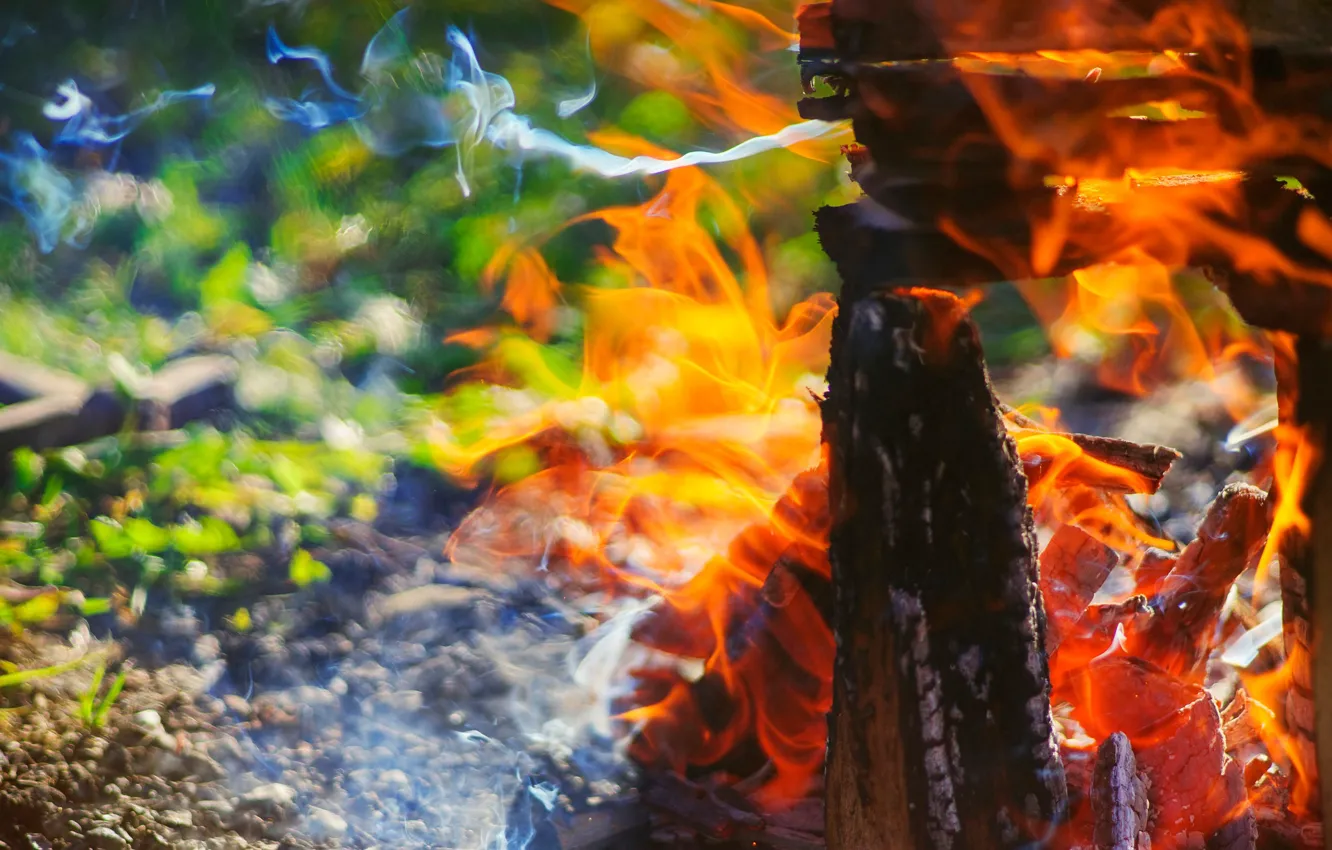 Photo wallpaper lights, flame, the fire