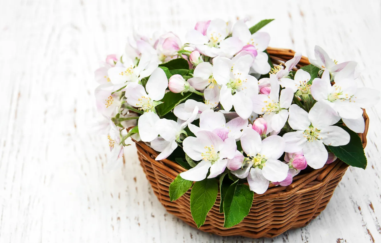 Photo wallpaper flowers, table, Apple, basket, Olena Rudo