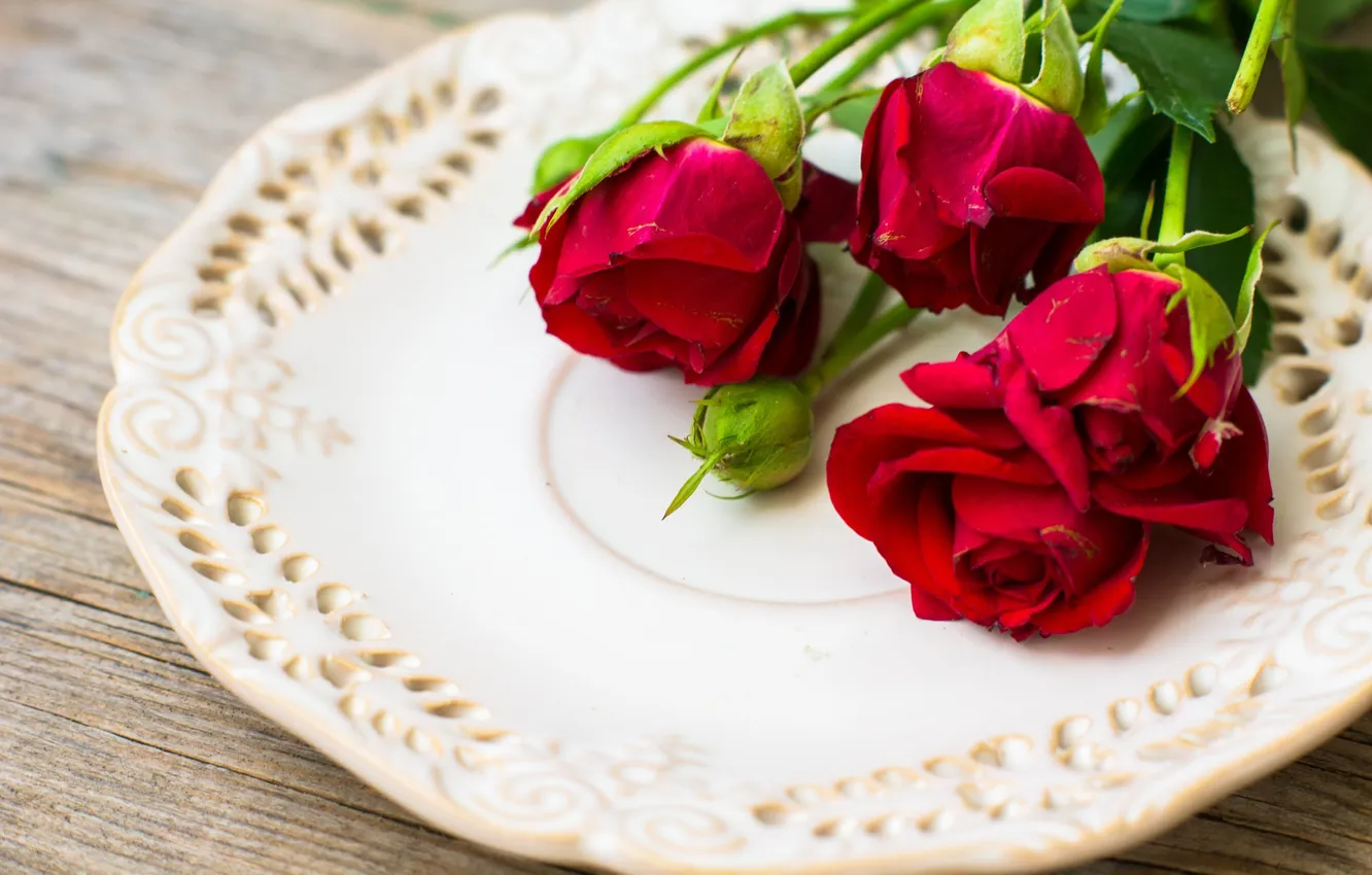 Photo wallpaper flowers, roses, dish