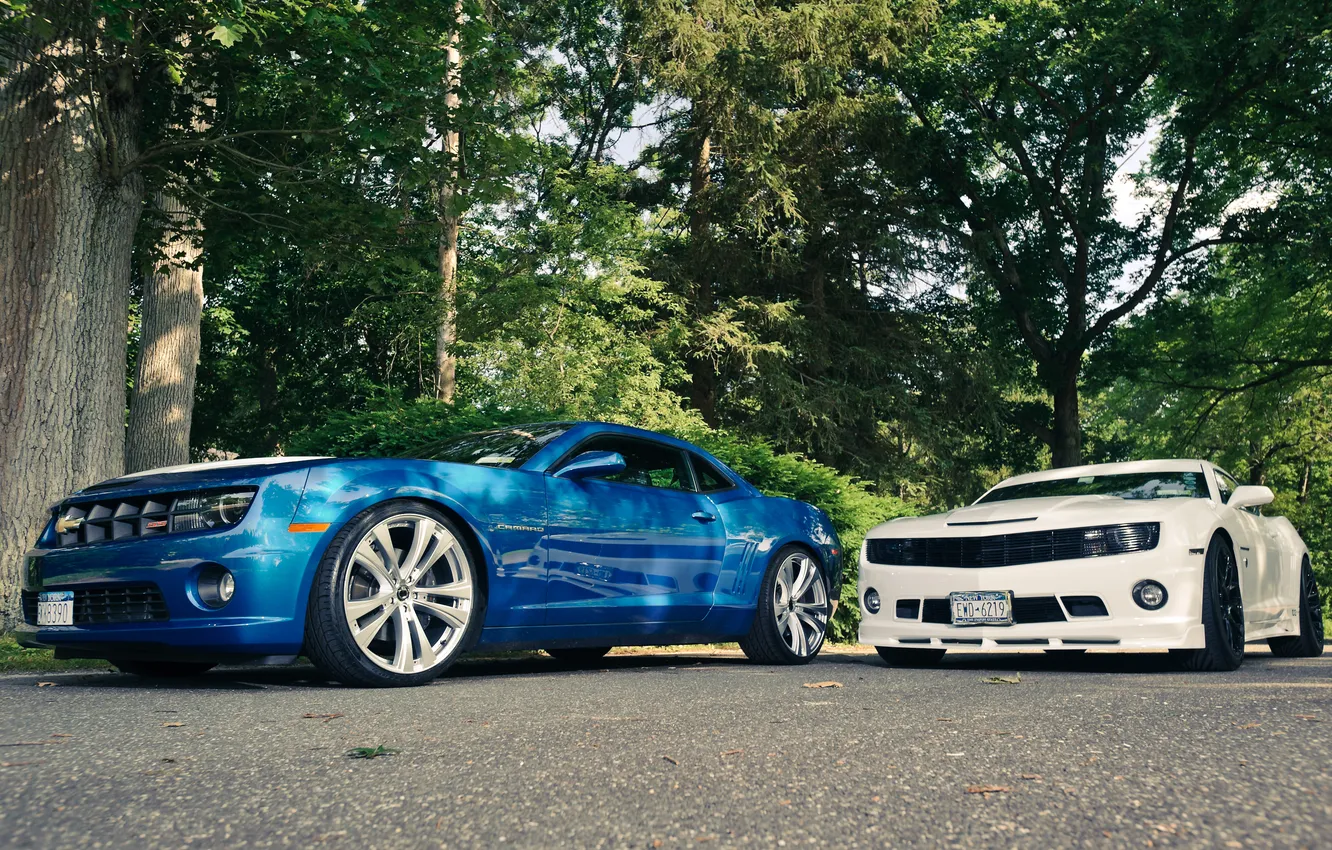 Photo wallpaper white, trees, blue, Chevrolet, Camaro, white, Chevrolet, blue
