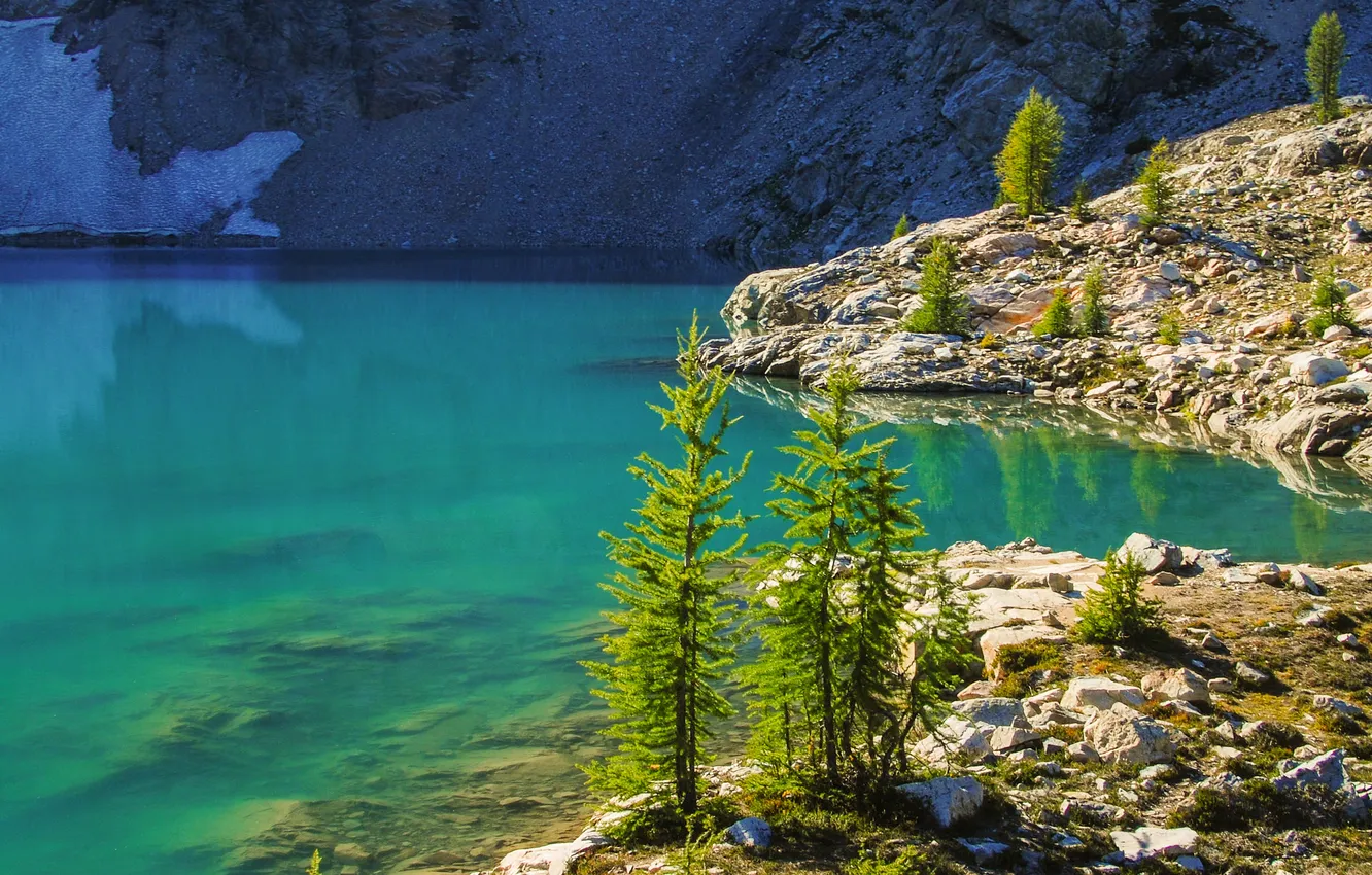 Photo wallpaper trees, mountains, lake