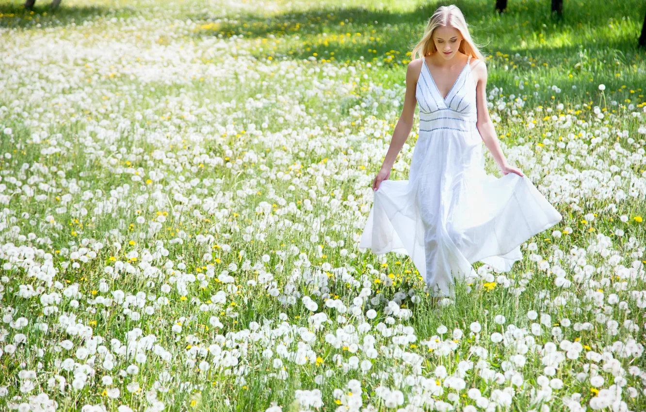 Photo wallpaper field, girl, flowers, dandelion, blonde