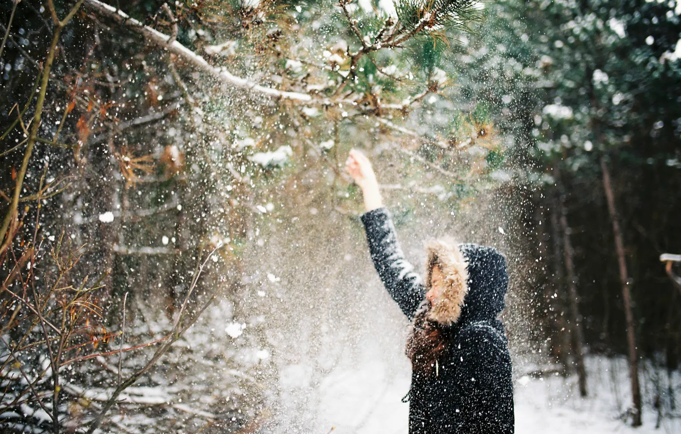 Photo wallpaper winter, girl, snow, branches, jacket, hood, falls
