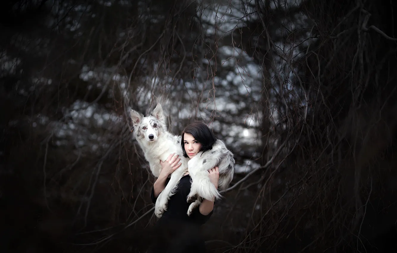 Photo wallpaper girl, each, dog