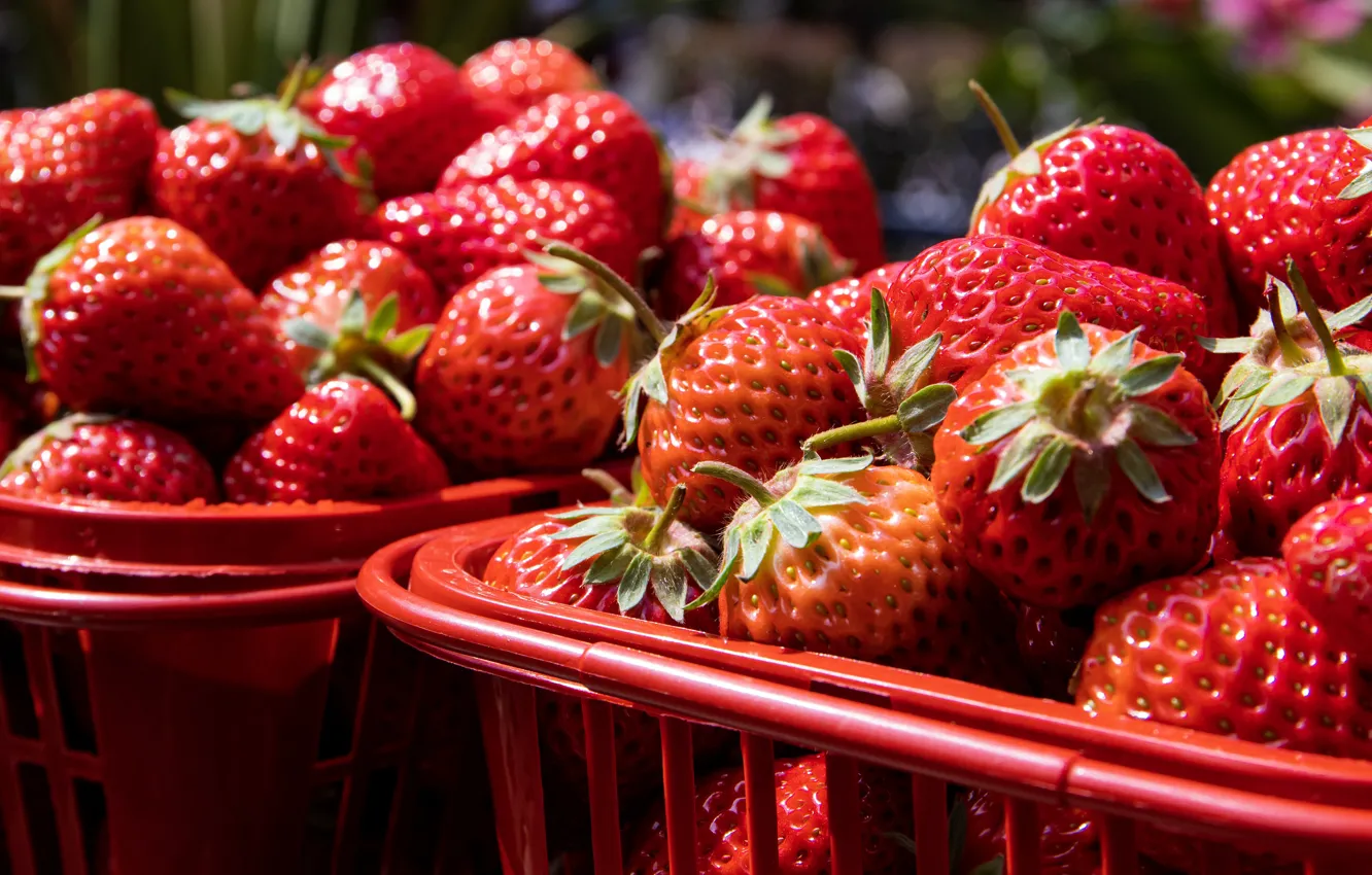 Photo wallpaper berries, strawberry, container, a lot